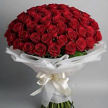 Букет 101 Красная роза Блэк Мэджик в Черноголовке
