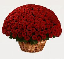 Премиум букет из: Розы #REPLACE_PRED# Черноголовке